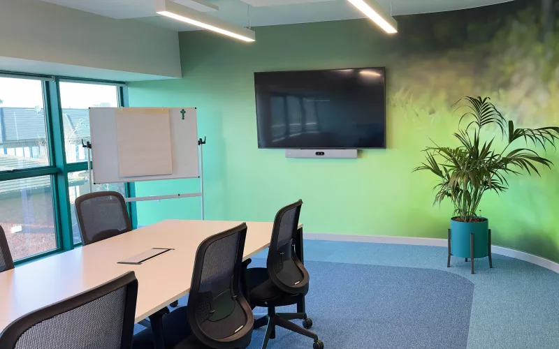 Cisco video conferencing set up on the end wall: a grey Cisco bar beneath the screen, with suspended acoustic panels overhead and a palm beside the curved green wall