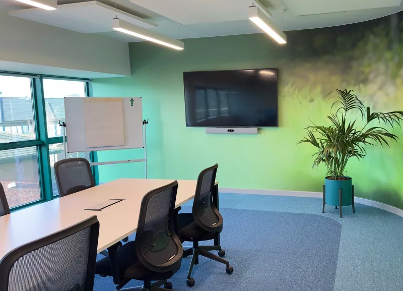 Cisco video conferencing set up on the end wall: a grey Cisco bar beneath the screen, with suspended acoustic panels overhead and a palm beside the curved green wall