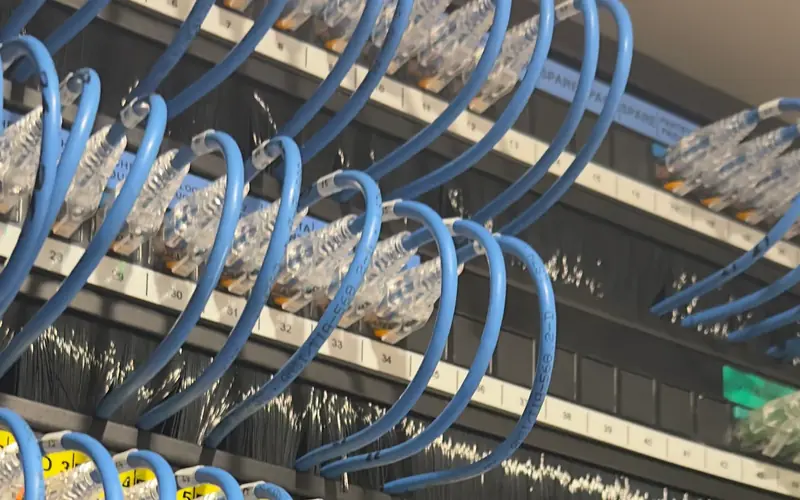 Blue patch leads looped across a data patch panel
